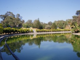 El Lago de Chapultepec